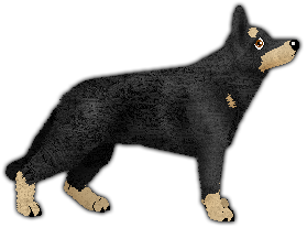 Profile image of KAISER von Edelshof