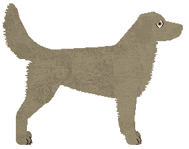 Blizzard Castle of Glass — “Glass”