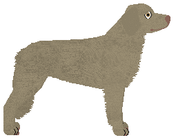 Blizzard I don't belong to anyone — “Bee”