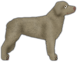 Profile image of Blizzard I don't belong to anyone