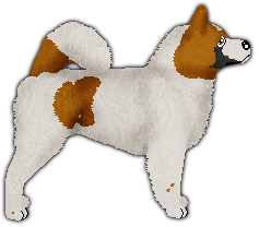 Profile image of TZC's WAITING FOR THE SUNRISE