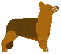 Nocturn WORKING CLASS HERO — “Aidan”