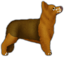 Profile image of Nocturn WORKING CLASS HERO