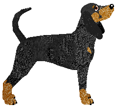 Rosestone's Constantly Wandering — “Copper”