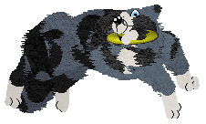 Nocturn Forgotten Times — “Jeremy”