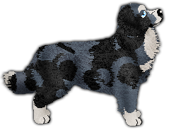 Profile image of Nocturn Forgotten Times