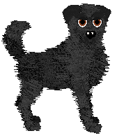 Profile image of NSP/Mockingbird's Exact Change, Please