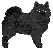 Profile image of Converse LORD VOLDEMORT