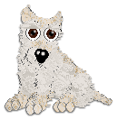 Profile image of Ailsa of the Ocean at Andervale