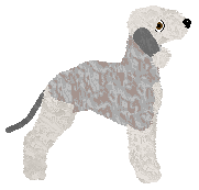 Cargo's Made for the Stage — “Flamingo”