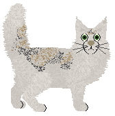 Mirror Blue's Look Up From the Sidewalk — “Echo”