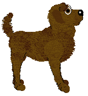 Tailfeather's Quack Quack — “Kona”