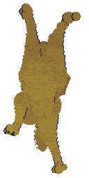 Silverfrost Christmas in the Swamp — “Nimble”