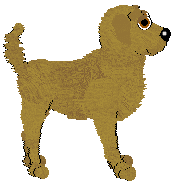 Silverfrost Christmas in the Swamp — “Nimble”