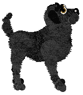 BFK's Wading Through Phases — “Moon”