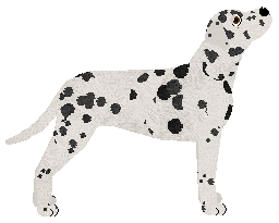 Rosestone's Give Me The Award — “Trophy”