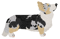 Cargo's Must Be Santa — “Saint”