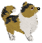 PD's What's Your Fave Colour? — “Elf”