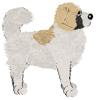 BFK's Elegant Evening — “Elle”