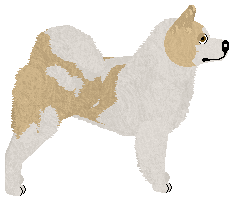 Monkshood Star Jessamine — “Malia”