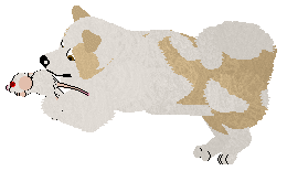 Monkshood Star Jessamine — “Malia”