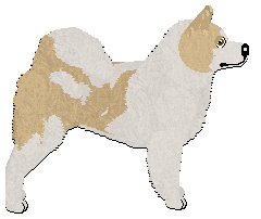 Profile image of Monkshood Star Jessamine