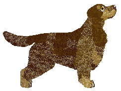 Dalheaf Wood She — “Paykel”