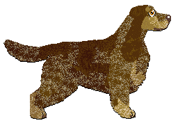 Profile image of Dalheaf Wood She