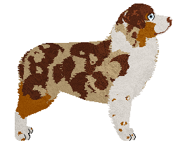 Gracepoint Strawberry Roan — “Clary”
