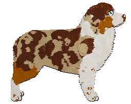 Profile image of Gracepoint Strawberry Roan