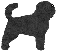 Gemstone Informal Gathering — “Borrel”