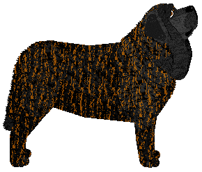 Specific Gravity Aubz Wishmas 2019 — “Comet”