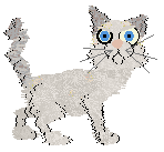 Static Dueler's Alley — “Dueler”