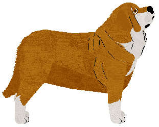 Specific Gravity Hey Jude — “Jude”