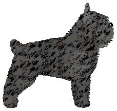 Gemstone Highly Attractive — “Lekker”