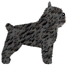 Gemstone Highly Attractive — “Lekker”