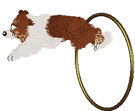 Crystal Rose's Plexippus at Come Bye — “Monarch”