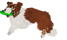 Crystal Rose's Plexippus at Come Bye — “Monarch”