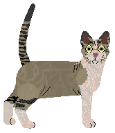 Airship/Velour's Gentle Night — “Nox”