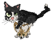 PawPrintz Capsacin Conundrum at Cymophane — “Pepper”