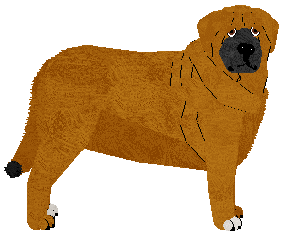 Profile image of Specific Gravity Ruby Baby