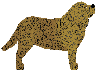 Specific Gravity Strawberry Fields Forever — “Strawberry”