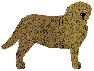 Profile image of Specific Gravity Strawberry Fields Forever