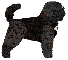 Profile image of Myriad Field of Weeds