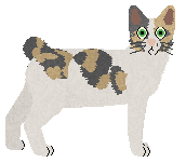 Beetlebum Down the Rabbit Hole — “Bunny”