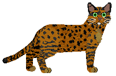 Starling From The Dust — “Ashes”