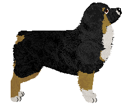 Avant-Garde's Spectre of The Feast — “Cody”