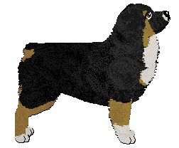 Profile image of Avant-Garde's Spectre of The Feast