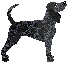 Duke's Meant To Be — “Pyro”