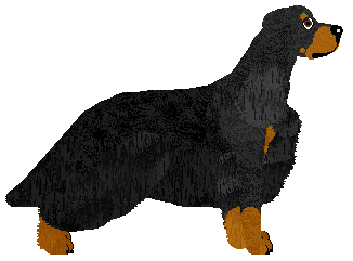 Foiegras Red Moon — “Giselle”